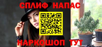 стаф Абакан