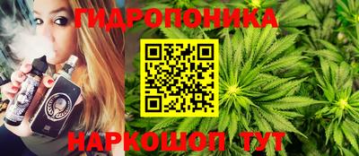 стаф Абакан