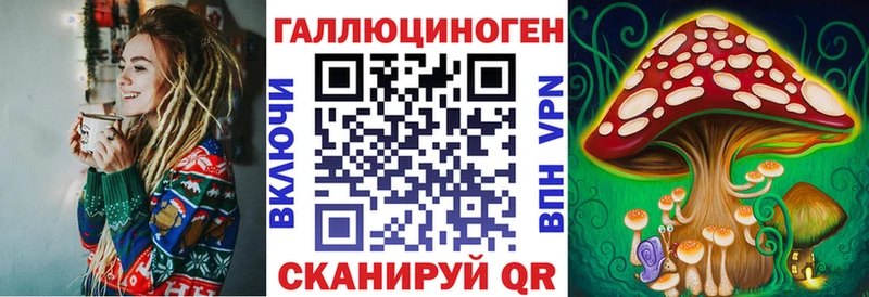 закладки Балашов Псилоцибиновые грибы GOLDEN TEACHER